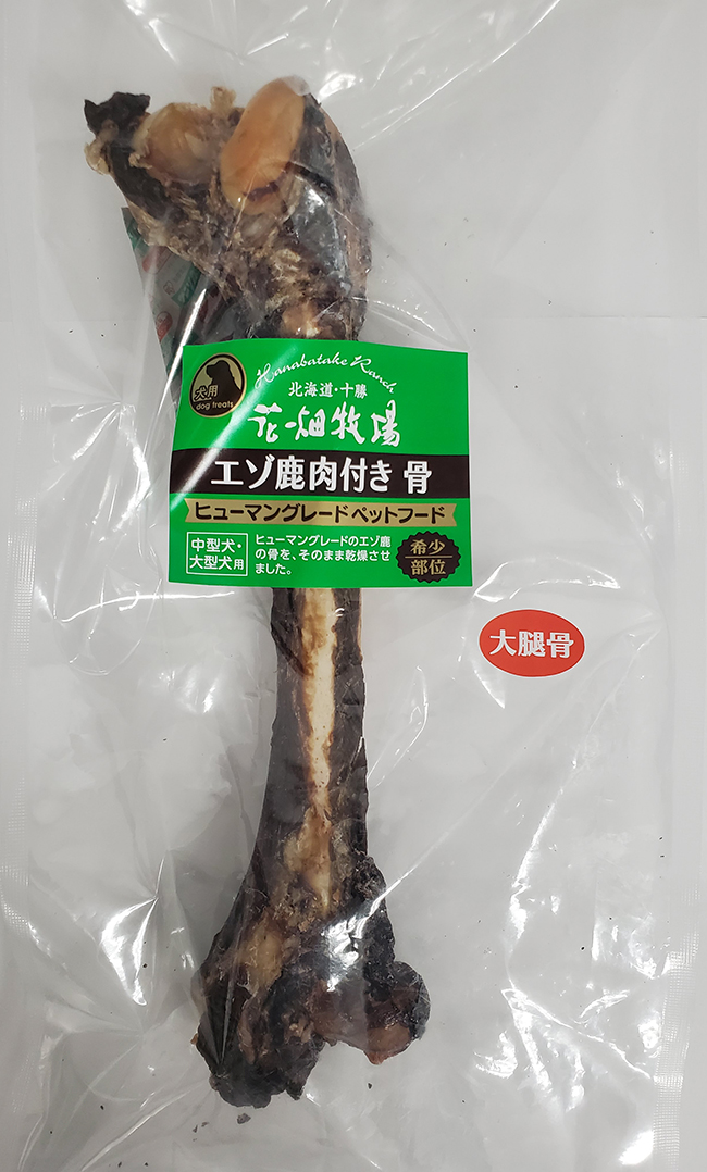 エゾ鹿肉付き 骨 大腿骨