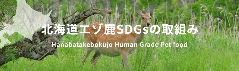 北海道エゾ鹿SDGsの取組み